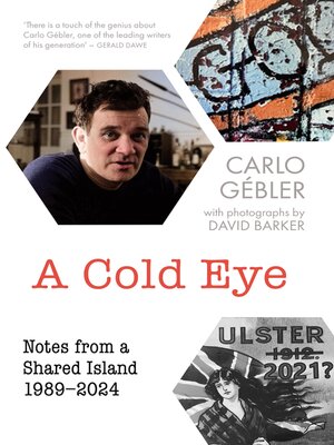 cover image of A Cold Eye